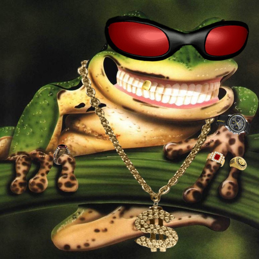 ЖАБА 1